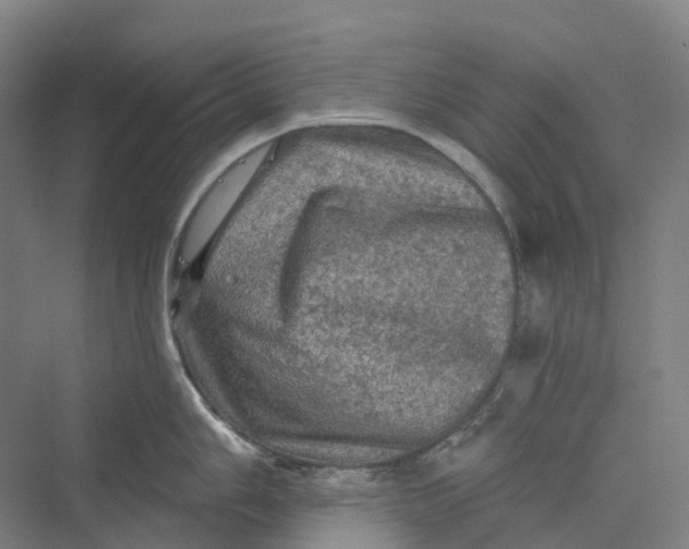 X0000069791006200606021408