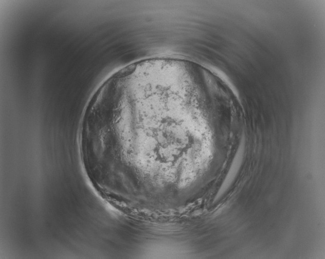 X0000069791007200606021408