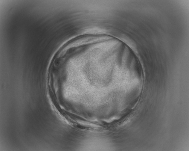 X0000069791008200606021408