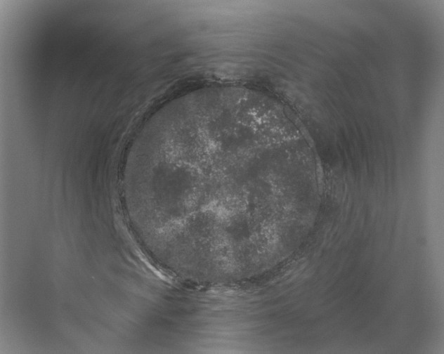 X0000069791009200606021407