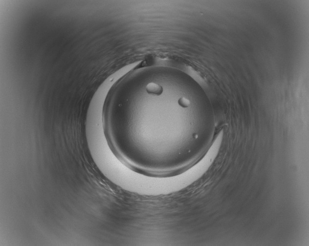 X0000069791010200606021407