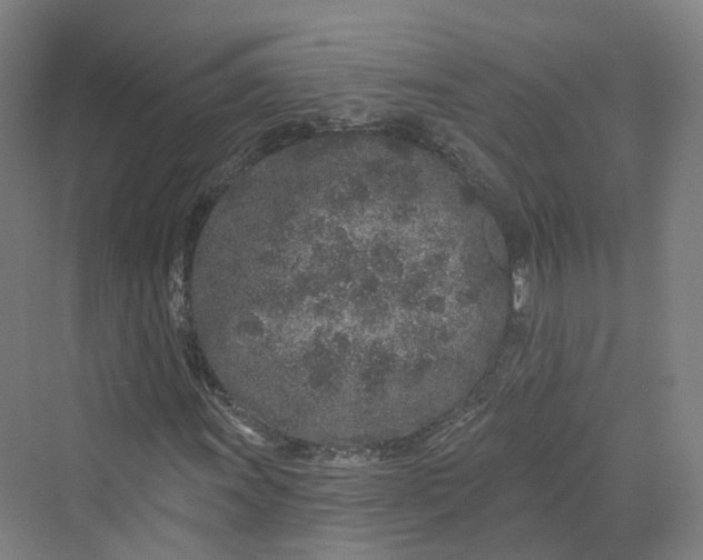 X0000069791011200606021407