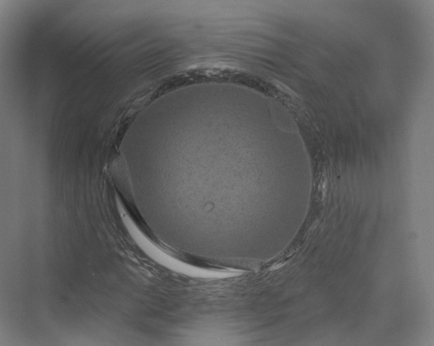 X0000069791014200606021407