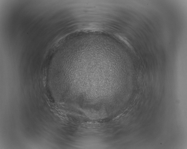 X0000069791015200606021407