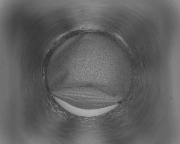 X0000069791016200606021407