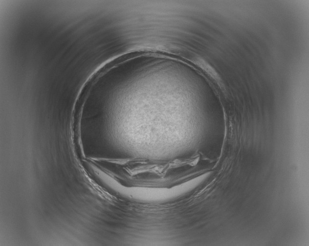 X0000069791020200606021407