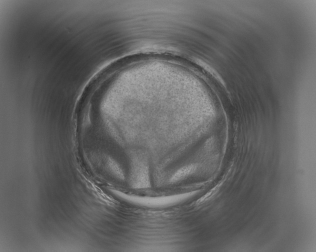 X0000069791021200606021407