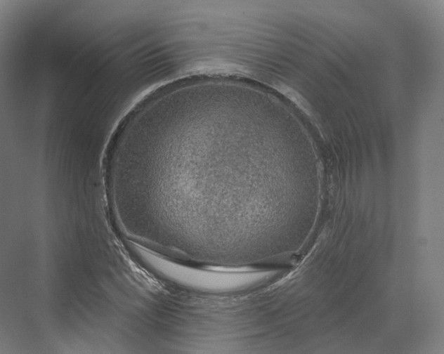 X0000069791022200606021408