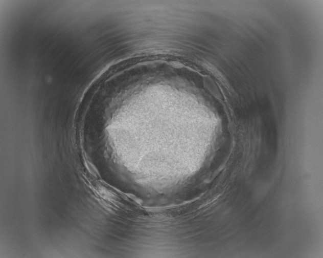 X0000069791023200606021408