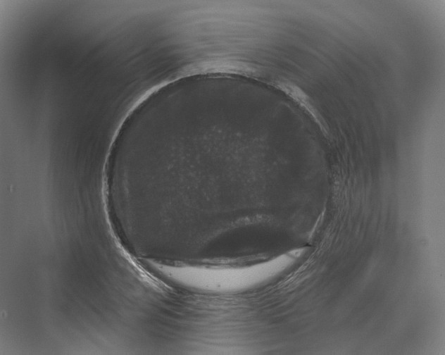 X0000069791024200606021408