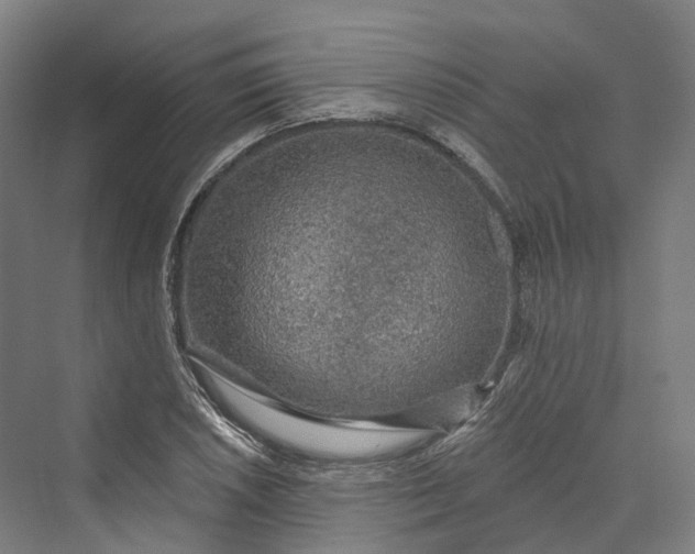 X0000069791026200606021408