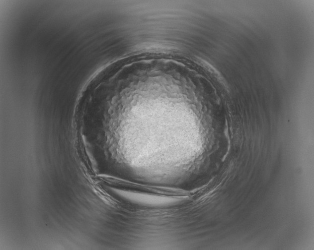 X0000069791027200606021408