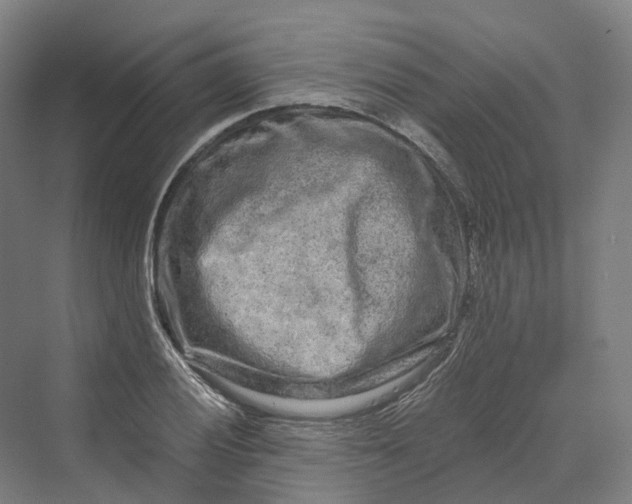 X0000069791028200606021408