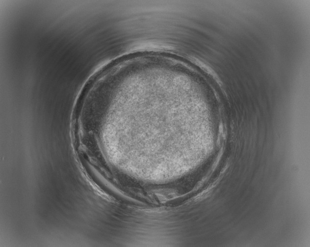 X0000069791029200606021408