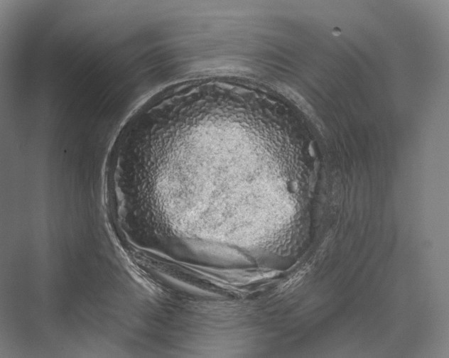 X0000069791031200606021408