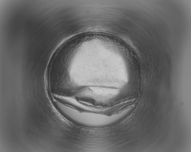 X0000069791032200606021408