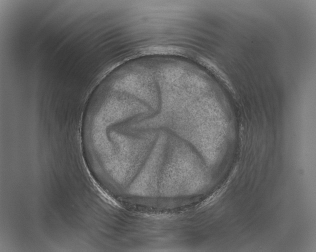 X0000069791033200606021408