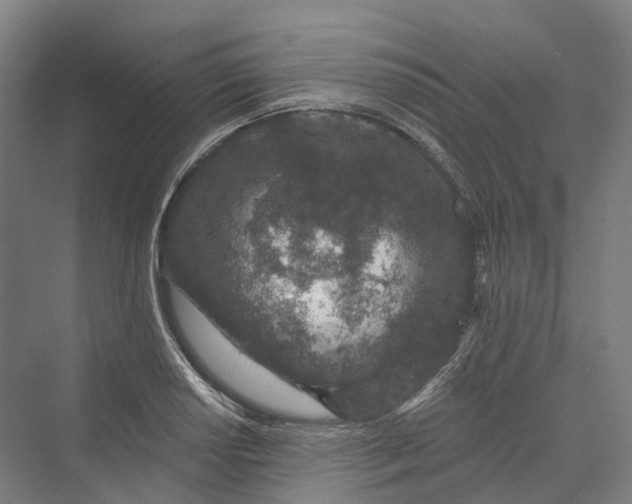 X0000069791034200606021408