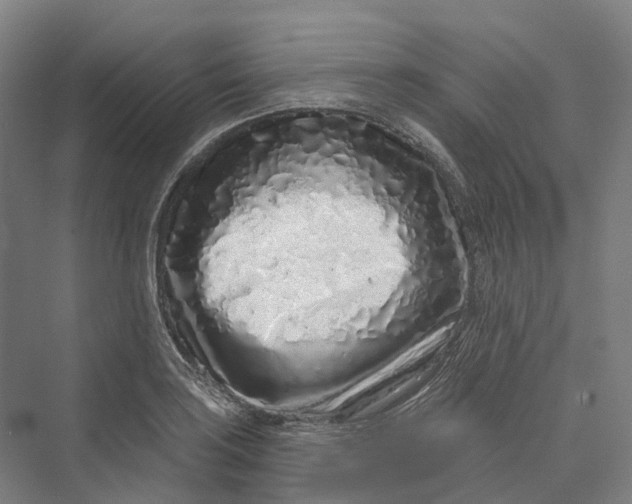 X0000069791035200606021408