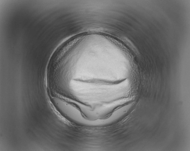 X0000069791036200606021408