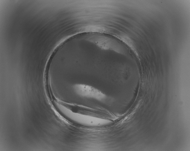 X0000069791037200606021408