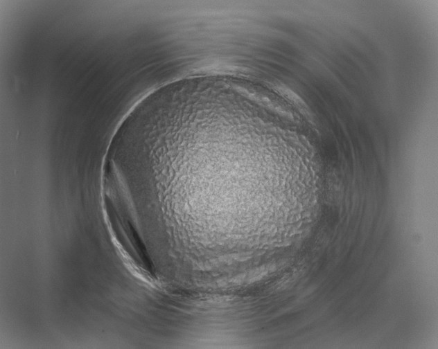 X0000069791039200606021408