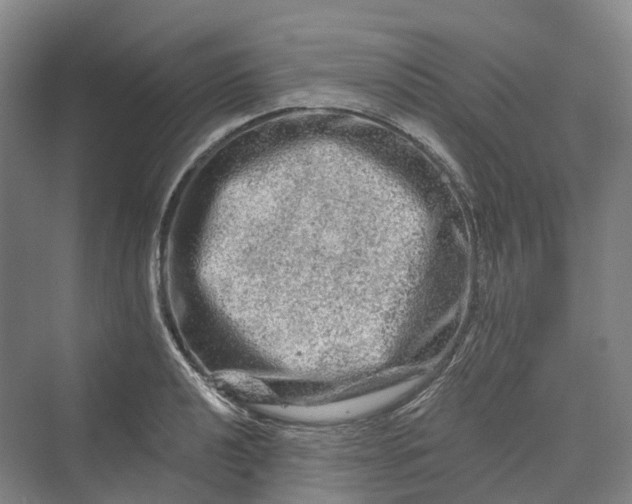 X0000069791040200606021408