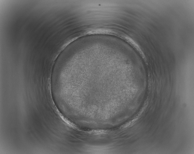 X0000069791041200606021408