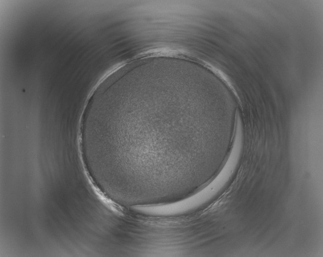 X0000069791042200606021408