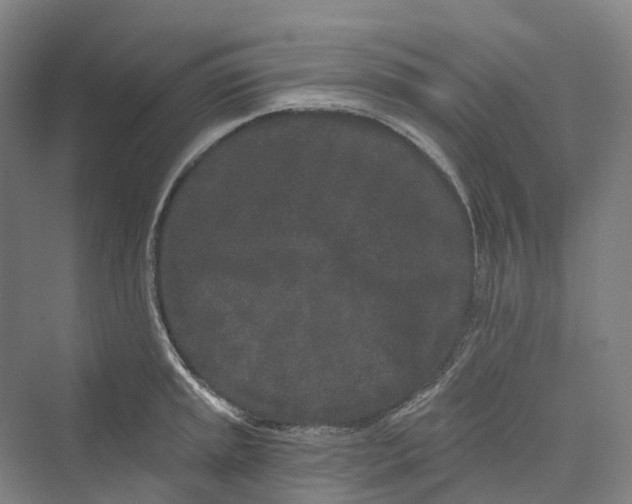 X0000069791045200606021408