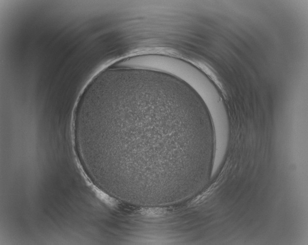 X0000069791046200606021408