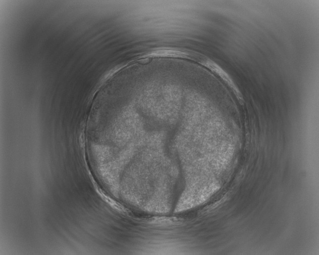 X0000069791049200606021408