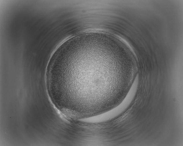 X0000069791050200606021408