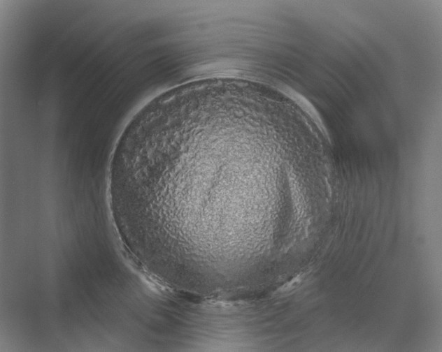 X0000069791051200606021408