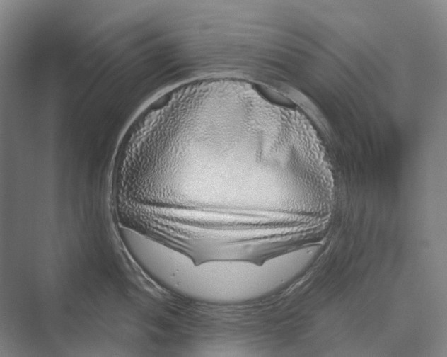 X0000069791052200606021408