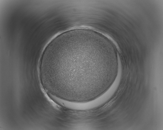 X0000069791054200606021408