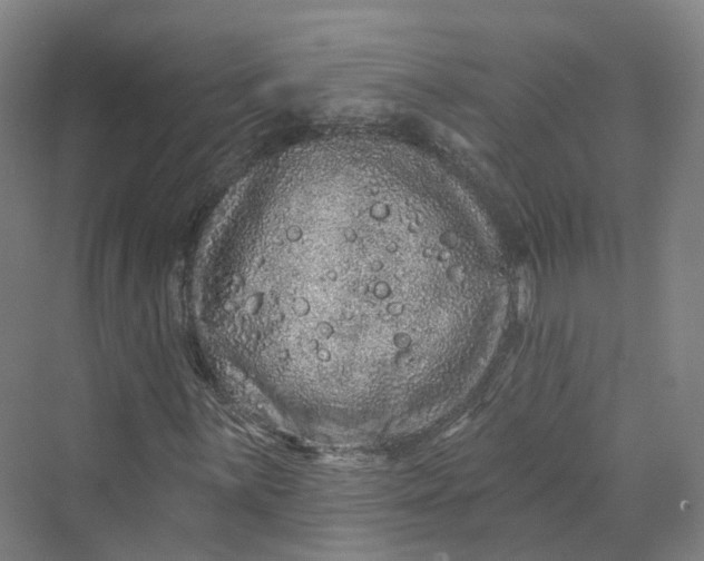 X0000069791059200606021407