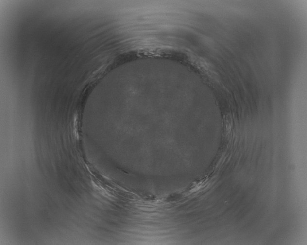 X0000069791060200606021407