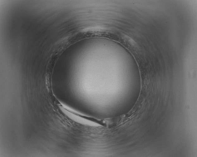 X0000069791062200606021407