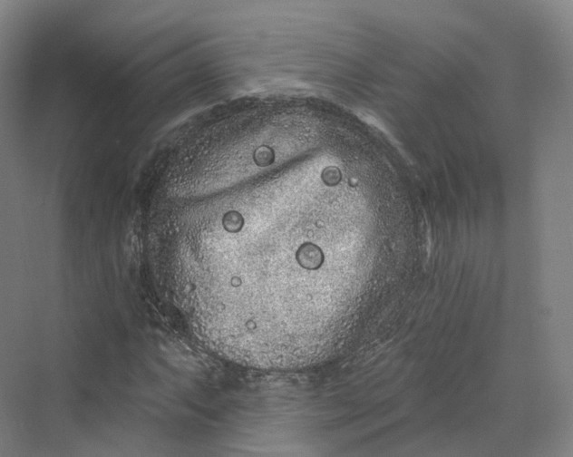 X0000069791063200606021407