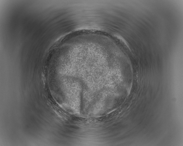 X0000069791064200606021407