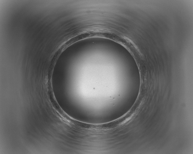 X0000069791065200606021407