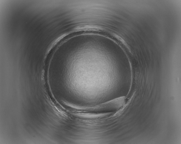 X0000069791066200606021407