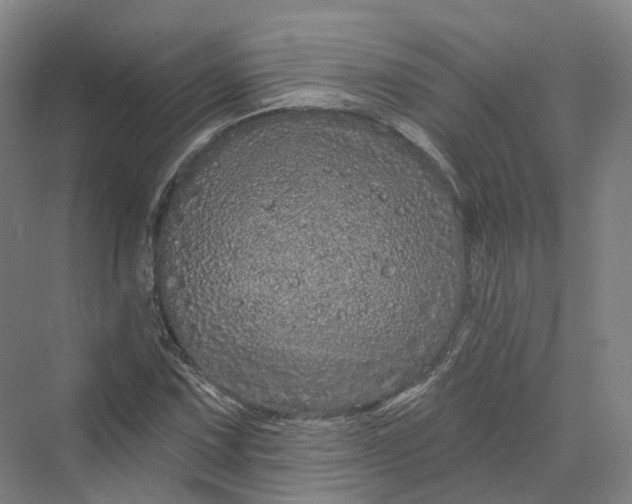 X0000069791067200606021407