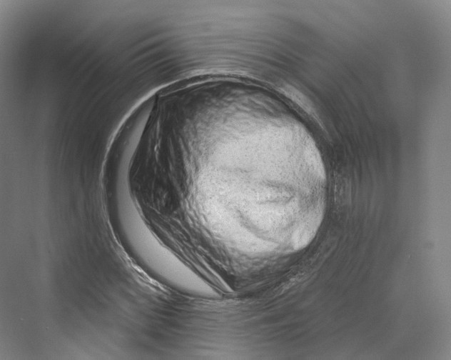 X0000069791068200606021407