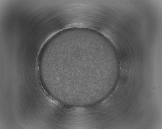 X0000069791070200606021407