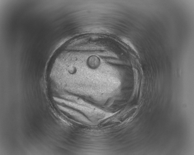 X0000069791071200606021407