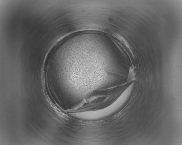 X0000069791072200606021407