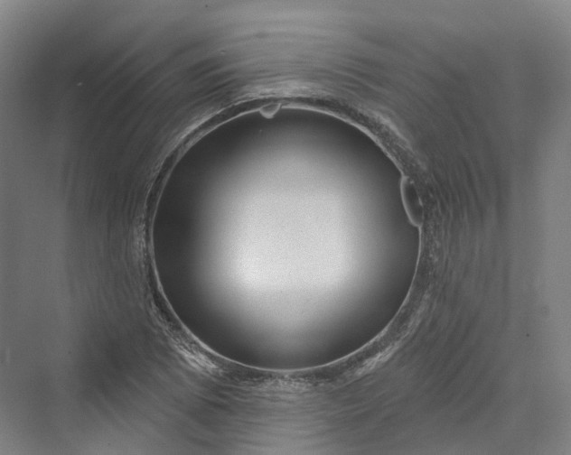 X0000069791073200606021407