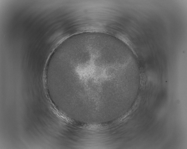 X0000069791074200606021407